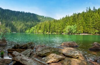 Přihláška 74. Letní EXpedice Stachy